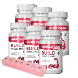 copy of Muscle Gain -...